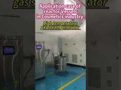 application case of  gas fired steam generator