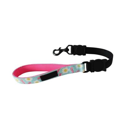 China Customized with advanced technology color draw strong lock handle soft material leash for dog training and walking for sale