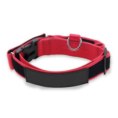 China EDCS012 Custom Heavy Duty Nylon Dog Collar Training Control Collar w/Handle for sale