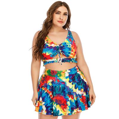 China Breathable Fashionable Oil Painting Print Sexy Women Plus Size Big Breast High Waist Bikini 2 Piece Women Swimsuit Beach Wear 2022 for sale