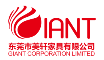 GIANT CORPORATION LIMITED