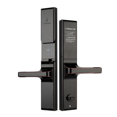 China Wide Application Smart Keyless Door Lock for sale