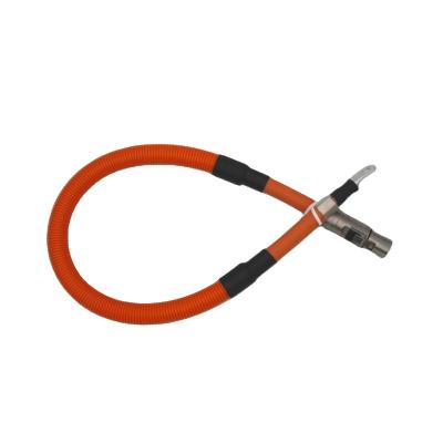 China Cheap Automobile Wiring Terminal Cable And Assembly Custom And PVC Insulated Stand Alone Copper Wire Harness for sale