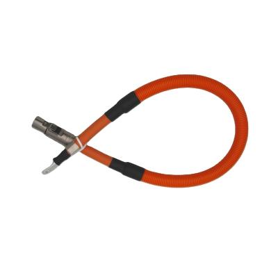 China Cheap Automobile and Automotive Electrical Assembly Custom and PVC Insulated Connector Wire Harness Copper Cable for sale