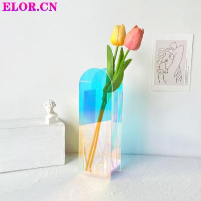 China Designer Colorful Acrylic Transparent Dried Living Room Instituto Morden Vase And Fresh Flowers In Living Room for sale