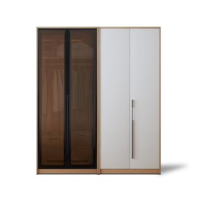 China Modern Minimalist Bedroom Wardrobe Storage Wardrobe Nordic Two Door Large Style Minimalist Glass Door for sale