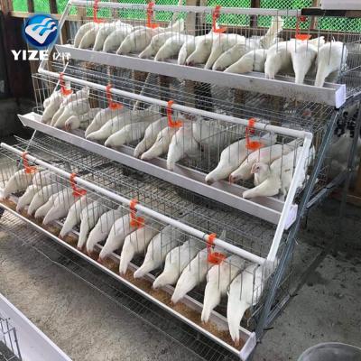 China Durable And Easy To Install Wholesale Chicken Egg Poultry Farm Factory For Chicken Farms Hot Dipped Galvanized Egg Chicken Cage for sale