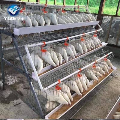 China Durable and easy to install chicken breeding cage /egg layer cage/chicken cage for sale (professional manufacturer) for sale