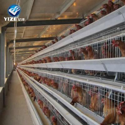 China Easy Installation 3.4 Tiers Cage Chicken Cage /bird Layer Welded Chicken Cage Price for sale