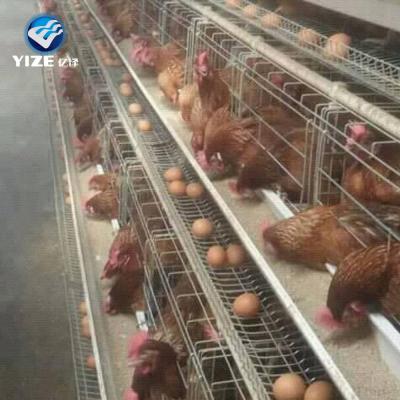 China Easily Install Chicken Cage, Battery Chicken Layer Cage Farm Chicken/Bird Cages Sale For Pakistan Farm for sale