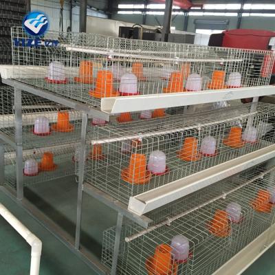 China Easily Install Good Quality Hot Selling Poultry Equipment For Broiler for sale