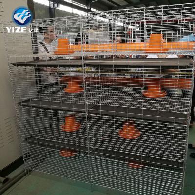 China Durable and easy to install day old chick cage for chicks RTL hot dipped galvanzied hot selling in Philippines 2021 new products for sale