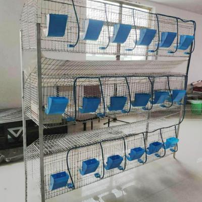 China Easy for Hot Sell Rabbit Management Cage 9/12/18/24 Rooms Commercial Welded Hutch Wire Cage for Meat Rabbit for sale