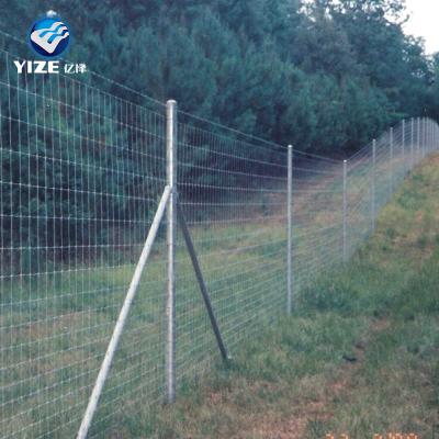 China Hinge Joint Knot Popularly Wanted Cattle Panels In Enclosure As Dairy Farm Equipment for sale