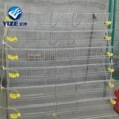 China Easily Install Quail Cage Layer Quail Cage Multiply Cage Automatic Egg Collection For Quail Farms for sale