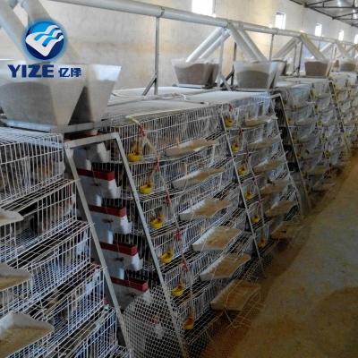 China quail cage from farms china supplier in tanzania farm/quail cage with high quality/cage with 3 tier for sale