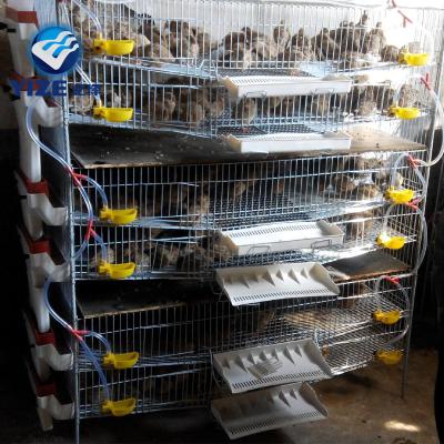 China Easily install new design quail layer cage automatic quail cage for quail farm for sale