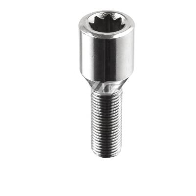 China Alloy Steel 6 Point Roll Tuner Bolt for sale