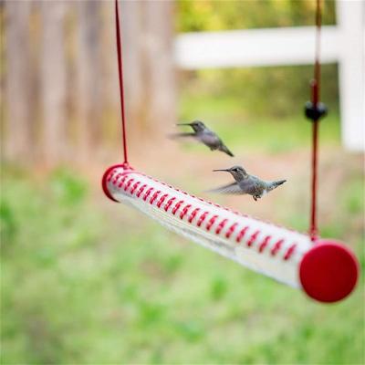 China Non-automatic Easy To Use Hanging Hummingbird Feeder With Hole Birds Feeding Hose Transparent Hummingbird Feeders For Outdoor Plastic for sale