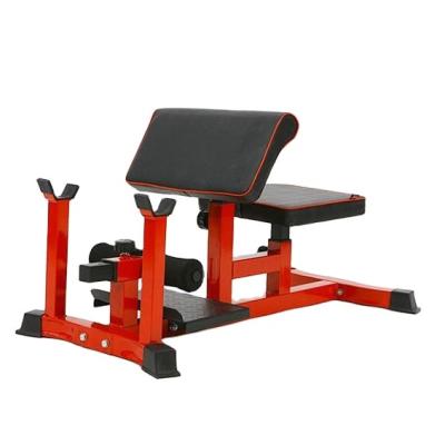 China Indoor Foldable Sissy Bench Hot Sale Gym Fitness Horizontal Bar ZYFIT Squat Machine for sale