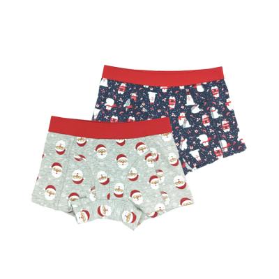 China Breathable Kid Child Cartoon Panties Cotton Boy Print Briefs Kids Christmas Underwear, Underwear For Boy for sale