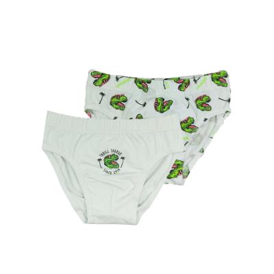 China Little Boys Kid Cotton Breathable Soft Underwear Dinosaur Unisex Kid Panties, Cotton Brief Panties For Boy Kid for sale