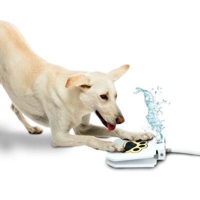 China 2022 Automatic Step On Paw Activated Drinking Water Outdoor Easy Dog Drinking Station for sale