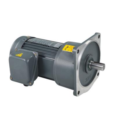 China 3 Phase Induction AC Motor 100W 220V Totally Enclosed Three Phase AC Motor Induction Motor Price for sale