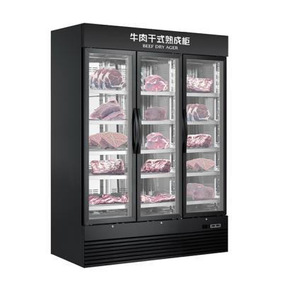 China Single-temperature factory hot sale commercial dry age refrigerator for supermarket dry aging refrigerator refrigerator dry aging refrigerator for sale