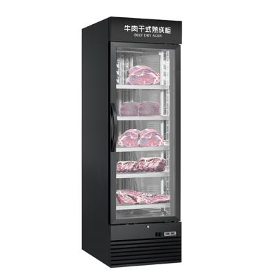 China Single-temperature factory hot sale commercial dry aging refrigerator for supermarket dry age meat for sale