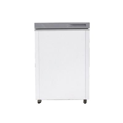 China Single-temperature Factory Manufacture Small Refrigerator Deep Freezer Freezer for sale