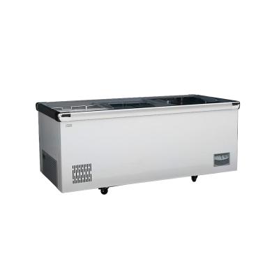 China Single-Temperature Promotional Freezer Glass Doors Freezer Machine for sale