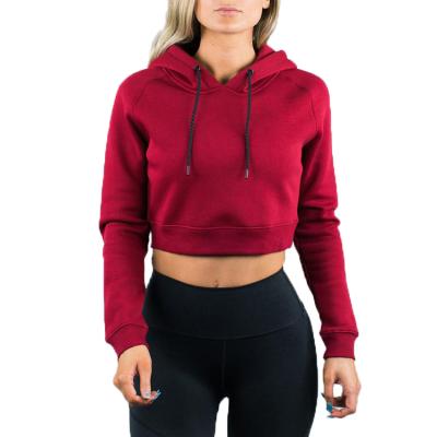 China Custom Anti-wrinkle Factory Cotton Polyester Fleece Crop Tops Long Sleeve Women Hoodie With Drawstring for sale