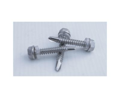 China Best Selling Durable Stainless Steel Hexagon Washer Head Antiseptic Self Drilling Tapping Screws for sale