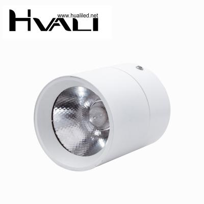 China Modern HUALI Anti-glare Adjustable 360 Degree Aluminum LED Spot Light Ceiling Surface Mounted Folding LED Downlight for sale