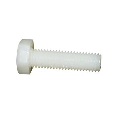 China High Quality Sandingsheng Hex Head Polyamide Full Thread PA66 Polyamide Nylon Plastic Bolt DIN 933 for sale