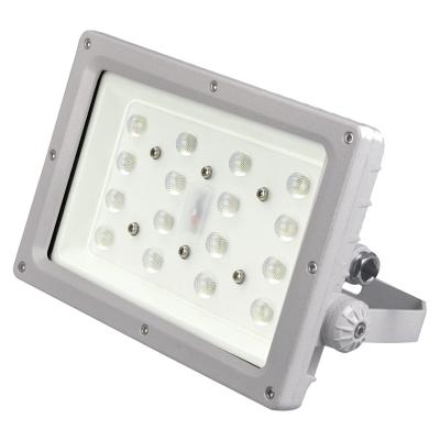 China Hot Sale Aluminum Flood Light Supplier 30W 40W 60W Paint Booth Lighting Gas Station WF2 Natural Flood Light Explosion Proof for sale