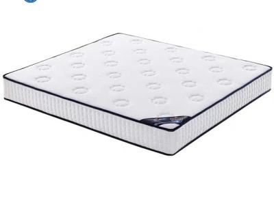 China High Quality Environmental Queen Size Removable Cover / Queen Size Adult Mattress for sale