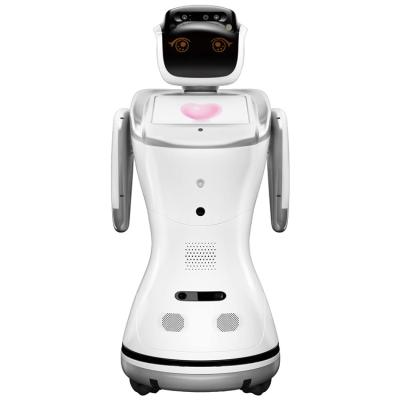 China 2023 Reception Smart Robot Shopping Mall Educational Humanoid Service Walking Dance Speaking Smart AI Programmable Robot for sale