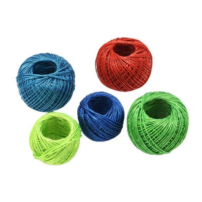 China Eco-friendly good quality multifunctional use 50g packing twine pp plastic rope for sale for sale