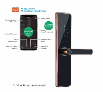 China Tuya High Quality Zinc Alloy Smart Lock Sliding Door Battery Operated Smart Door Lock TY09 for sale