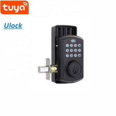 China Modern smart lock home/apartment/tuya office door lock smart wifi outdoor front deadbolt without handle for sale