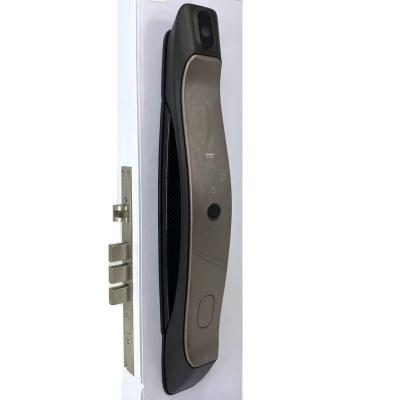 China Viewer Digital Automatic Door Home Security Smart Door Locks With Camera Outdoor Locking System for sale