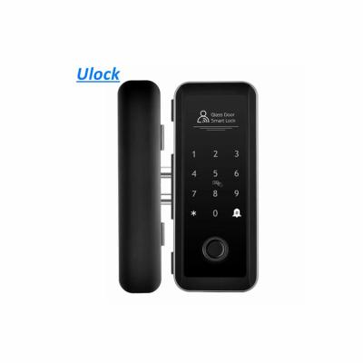 China Fashion Safety Glass Electronic Handle Keyless Entry System Door Lock Digital Smart Wifi Sliding Door Locks G010 for sale