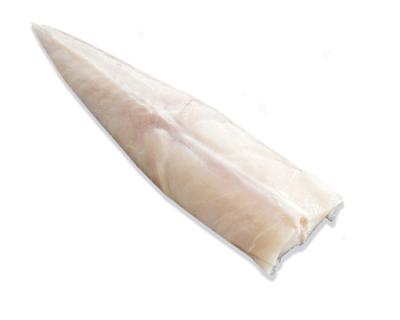 China FROZEN IQF fillet of monkfish for market for sale