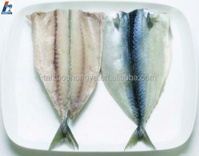 China IQF Frozen Seafood Frozen Pacific Mackerel Butterfly Fillet On Sale for sale