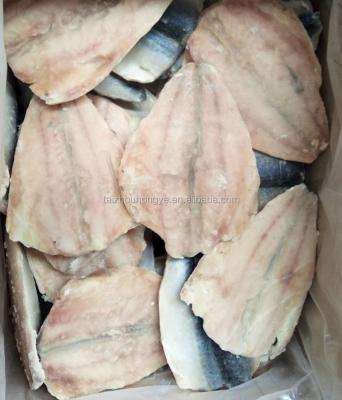 China New Frozen Pacific mackerel scomber material FROZEN butterfly fins japonicus girdle for promotion with good quality for sale