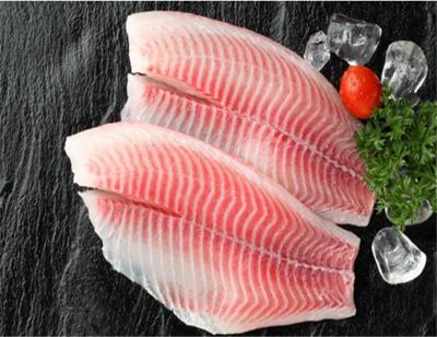 China FROZEN Frozen Tilapia Fillets in PBI or PBO STPP Normal Fish IQF Oreochromis Niloticus Processed for Market for sale