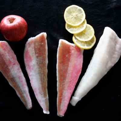 China 2018 New Organic Frozen Red Gurnard Fish Fillet Skin On PBO IQF With Cheap Price for sale