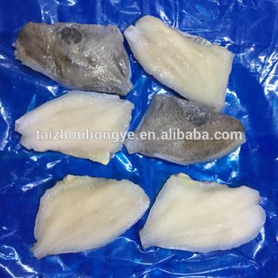 China 2018 New Dory John Fish (Zeus Faber) Organic Frozen Fillet Skin On PBO IQF for sale